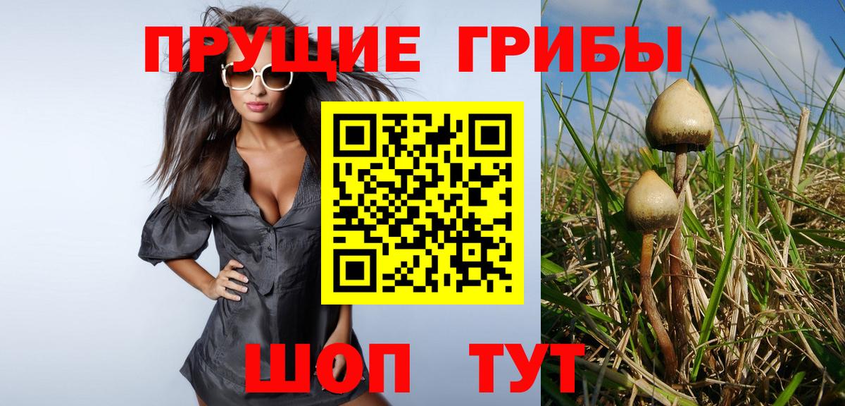 Галлюциногенные грибы Psilocybine cubensis  Вход с VPN  Мыски 
