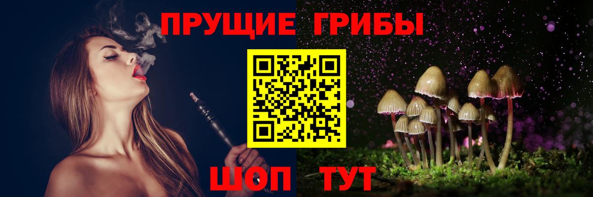 Галлюциногенные грибы Psilocybe Мыски