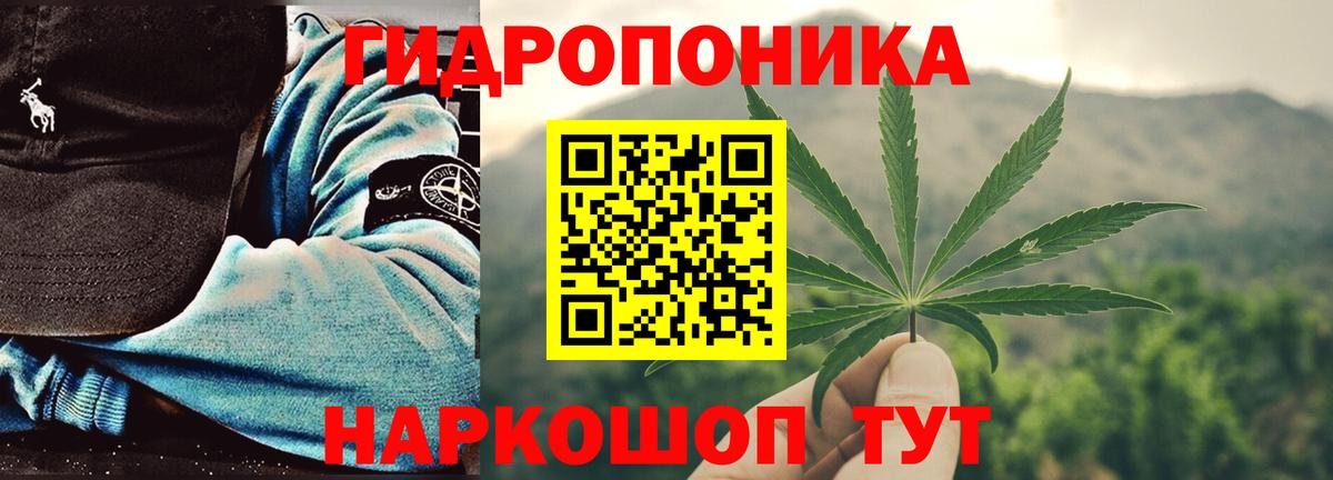 Шишки марихуана индика Мыски